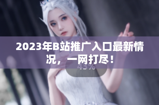 2023年B站推广入口最新情况，一网打尽！