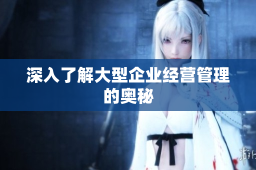 深入了解大型企业经营管理的奥秘