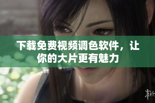 下载免费视频调色软件，让你的大片更有魅力