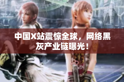 中国X站震惊全球，网络黑灰产业链曝光！