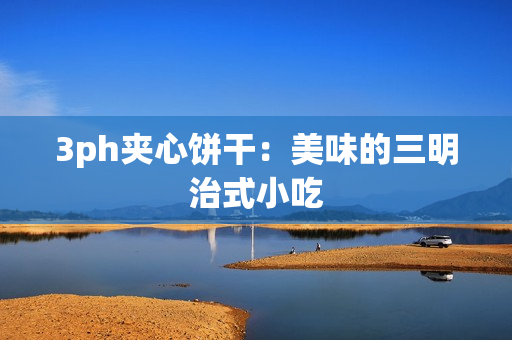 3ph夹心饼干：美味的三明治式小吃