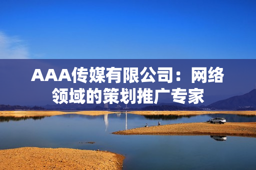 AAA传媒有限公司：网络领域的策划推广专家