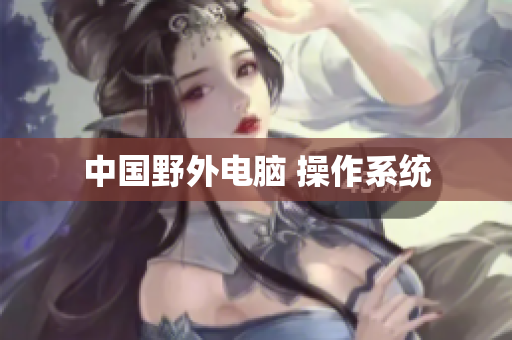 中国野外电脑 操作系统