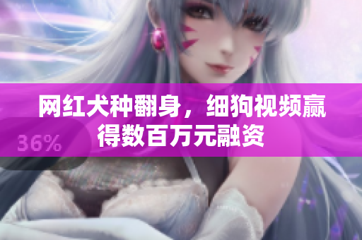 网红犬种翻身，细狗视频赢得数百万元融资