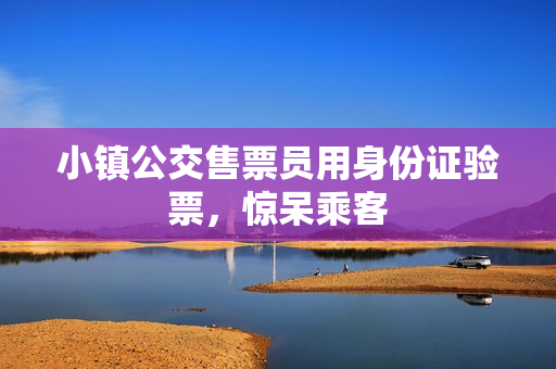 小镇公交售票员用身份证验票，惊呆乘客