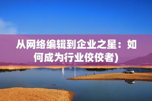 从网络编辑到企业之星：如何成为行业佼佼者)