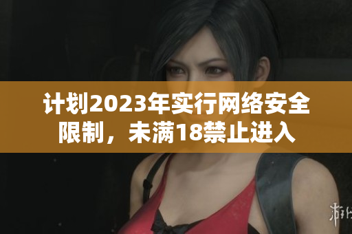 计划2023年实行网络安全限制，未满18禁止进入