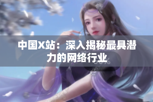 中国X站：深入揭秘最具潜力的网络行业