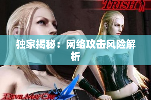 独家揭秘：网络攻击风险解析