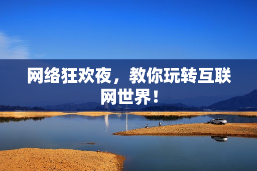 网络狂欢夜，教你玩转互联网世界！