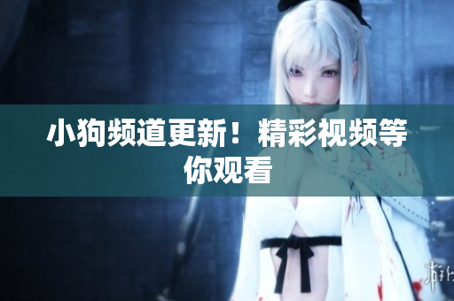 小狗频道更新！精彩视频等你观看