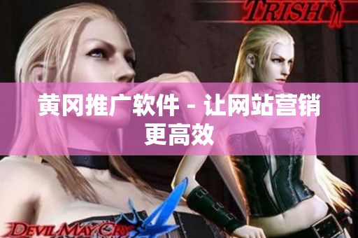 黄冈推广软件 - 让网站营销更高效