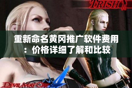 重新命名黄冈推广软件费用：价格详细了解和比较