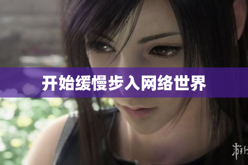 开始缓慢步入网络世界