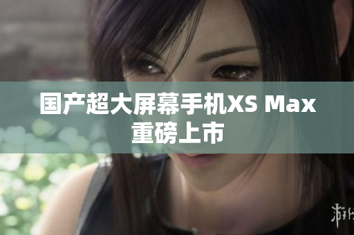 国产超大屏幕手机XS Max重磅上市
