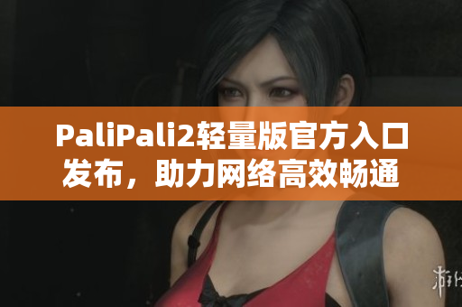 PaliPali2轻量版官方入口发布，助力网络高效畅通