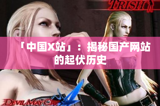 「中国X站」：揭秘国产网站的起伏历史