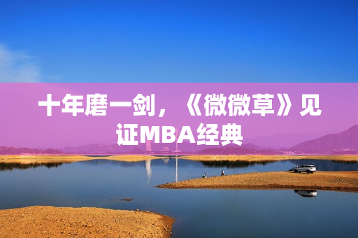 十年磨一剑，《微微草》见证MBA经典