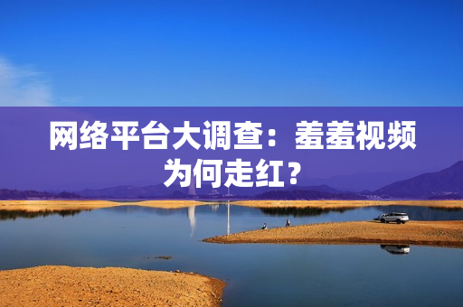 网络平台大调查：羞羞视频为何走红？
