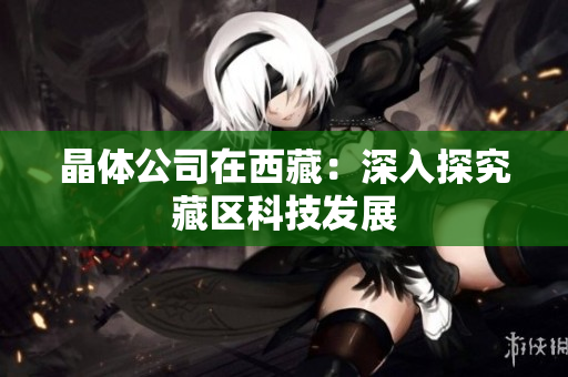 晶体公司在西藏：深入探究藏区科技发展