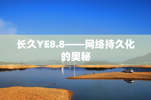 长久YE8.8——网络持久化的奥秘