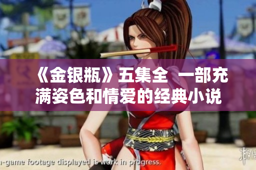 《金银瓶》五集全  一部充满姿色和情爱的经典小说