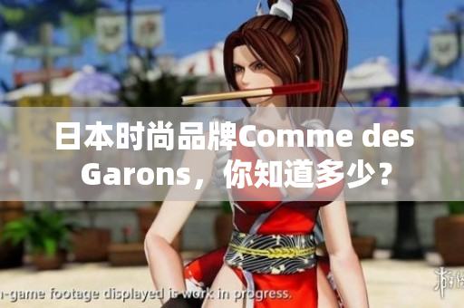 日本时尚品牌Comme des Garons，你知道多少？
