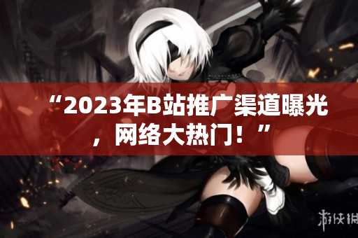 “2023年B站推广渠道曝光，网络大热门！”