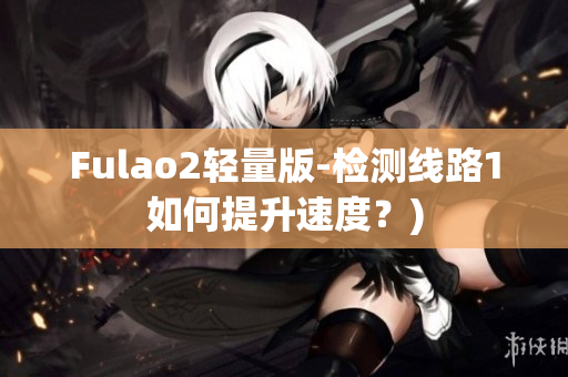 Fulao2轻量版-检测线路1如何提升速度？)