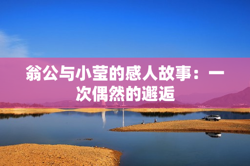 翁公与小莹的感人故事：一次偶然的邂逅