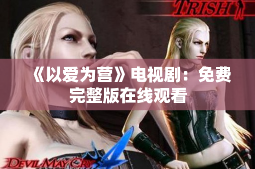 《以爱为营》电视剧：免费完整版在线观看