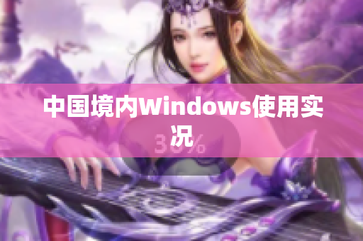 中国境内Windows使用实况