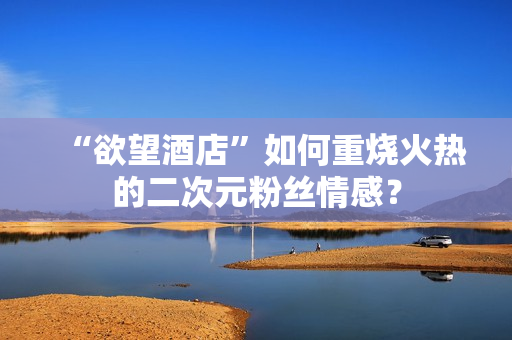 “欲望酒店”如何重烧火热的二次元粉丝情感？