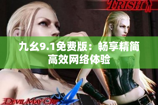 九幺9.1免费版：畅享精简高效网络体验