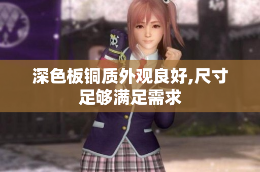深色板铜质外观良好,尺寸足够满足需求