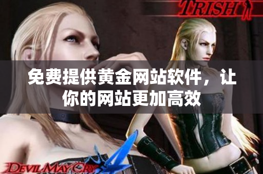 免费提供黄金网站软件，让你的网站更加高效