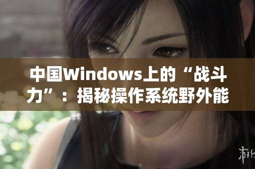 中国Windows上的“战斗力”：揭秘操作系统野外能力