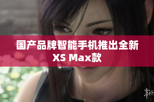 国产品牌智能手机推出全新XS Max款