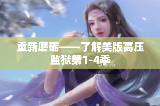 重新磨砺——了解美版高压监狱第1-4季