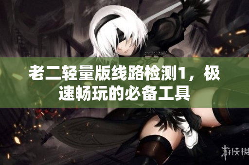 老二轻量版线路检测1，极速畅玩的必备工具
