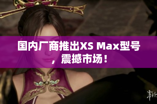 国内厂商推出XS Max型号，震撼市场！