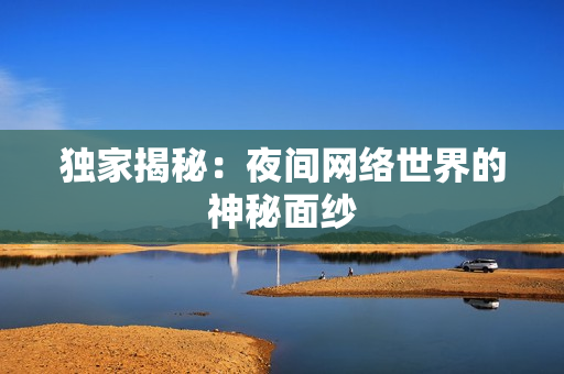 独家揭秘：夜间网络世界的神秘面纱