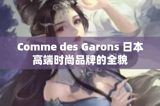 Comme des Garons 日本高端时尚品牌的全貌