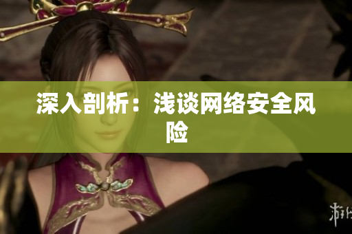 深入剖析：浅谈网络安全风险