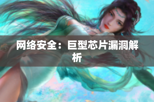 网络安全：巨型芯片漏洞解析