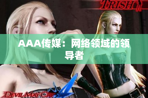 AAA传媒：网络领域的领导者