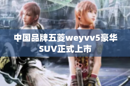 中国品牌五菱weyvv5豪华SUV正式上市