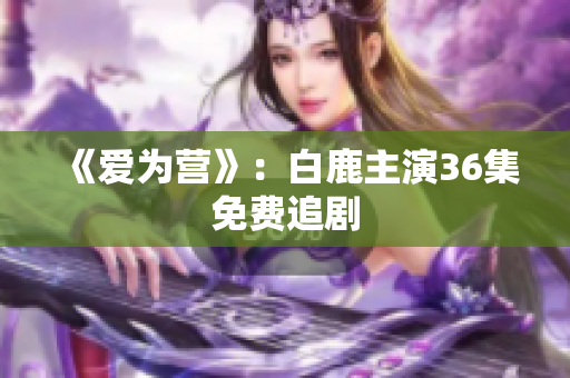 《爱为营》：白鹿主演36集免费追剧
