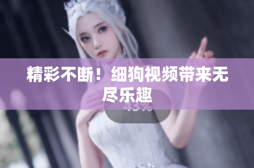 精彩不断！细狗视频带来无尽乐趣