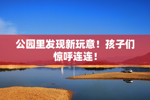 公园里发现新玩意！孩子们惊呼连连！